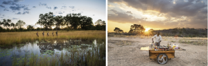 Sitatunga Private Island Camp, Botswana (L). Usangu Expedition Camp Camp, Tanzania (R).