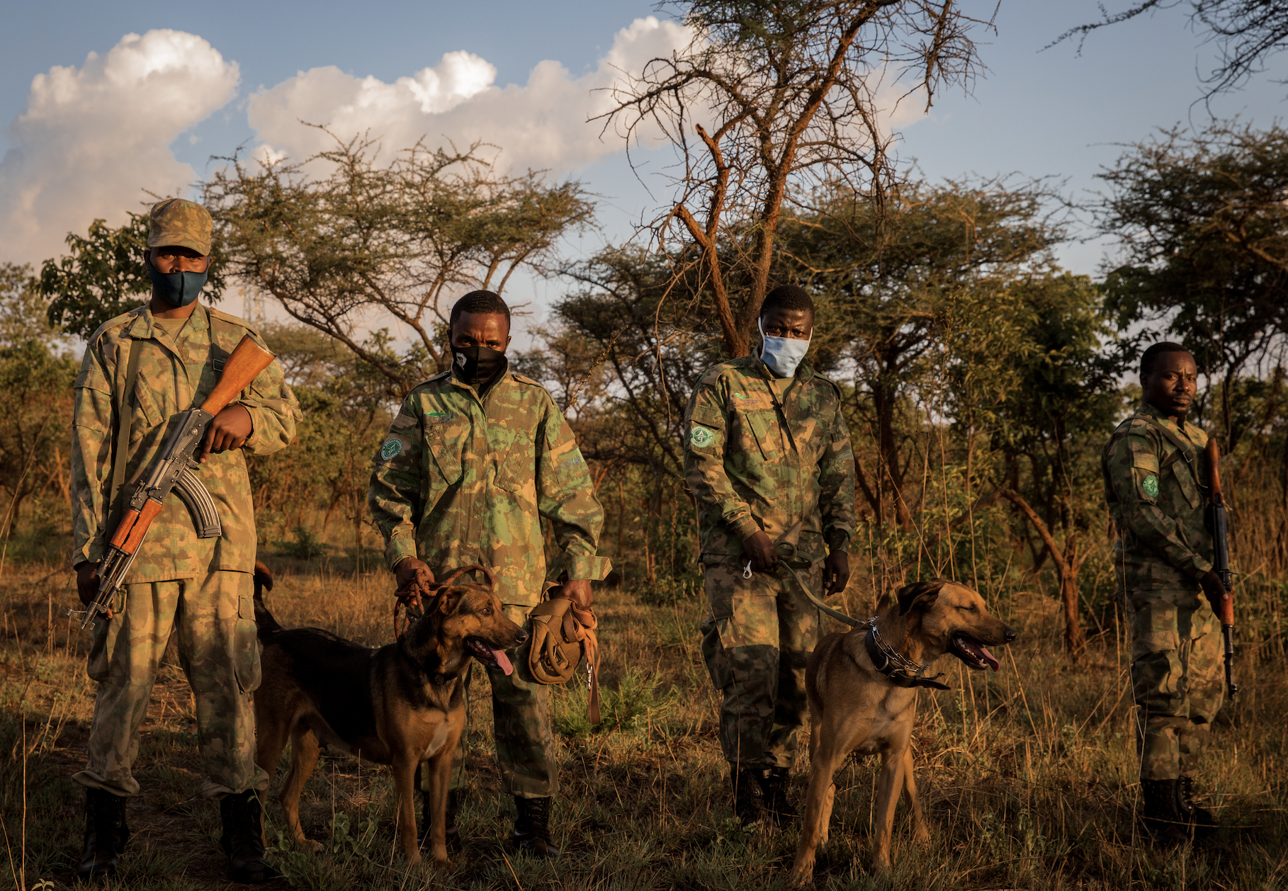 K9 Raptors Wildlife Warriors | Blog | Expert Africa