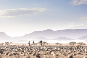 People walking in the Namib Desert.