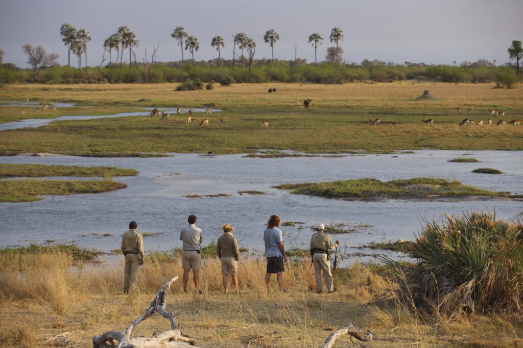 Safari group observing the wildlife surrounding Sandibe Safari Lodge in Botswana