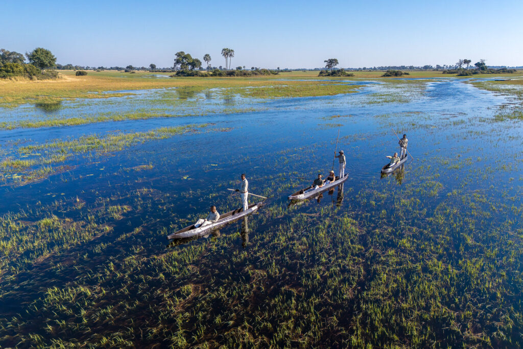 Mokoro excursion in the Okavango Delta