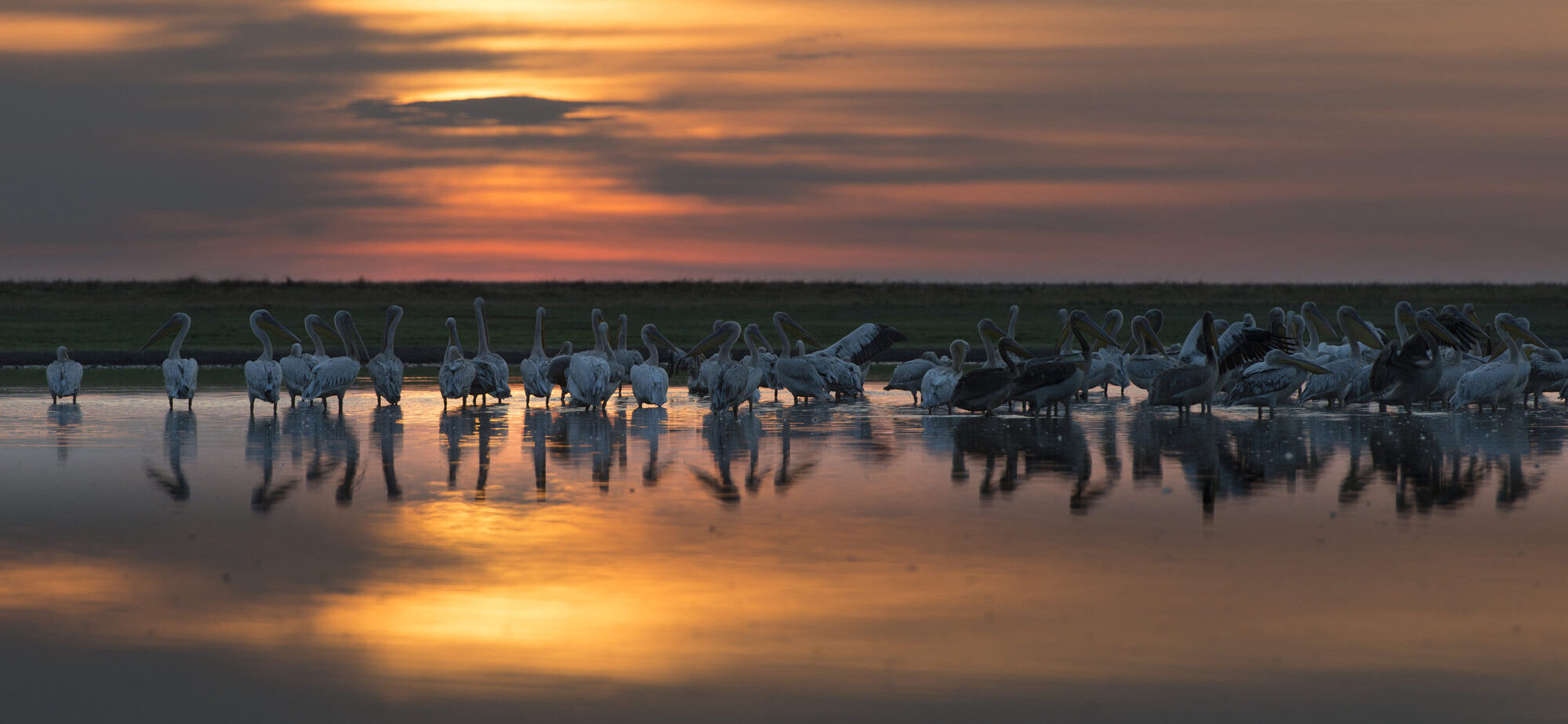 Liuwa Plain Camp