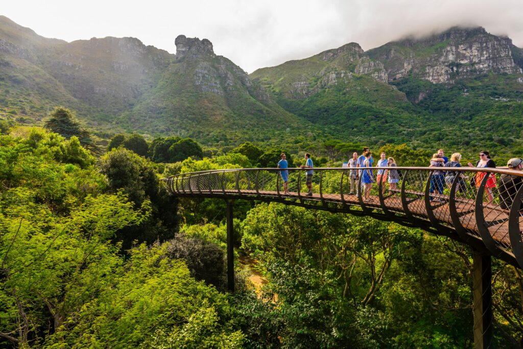 Travellers on a Fynbos and Fine Wine excursion in Cape Town