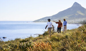 Group on an excursion from Twelve Apostles Hotel and Spa in Cape Town, South Africa