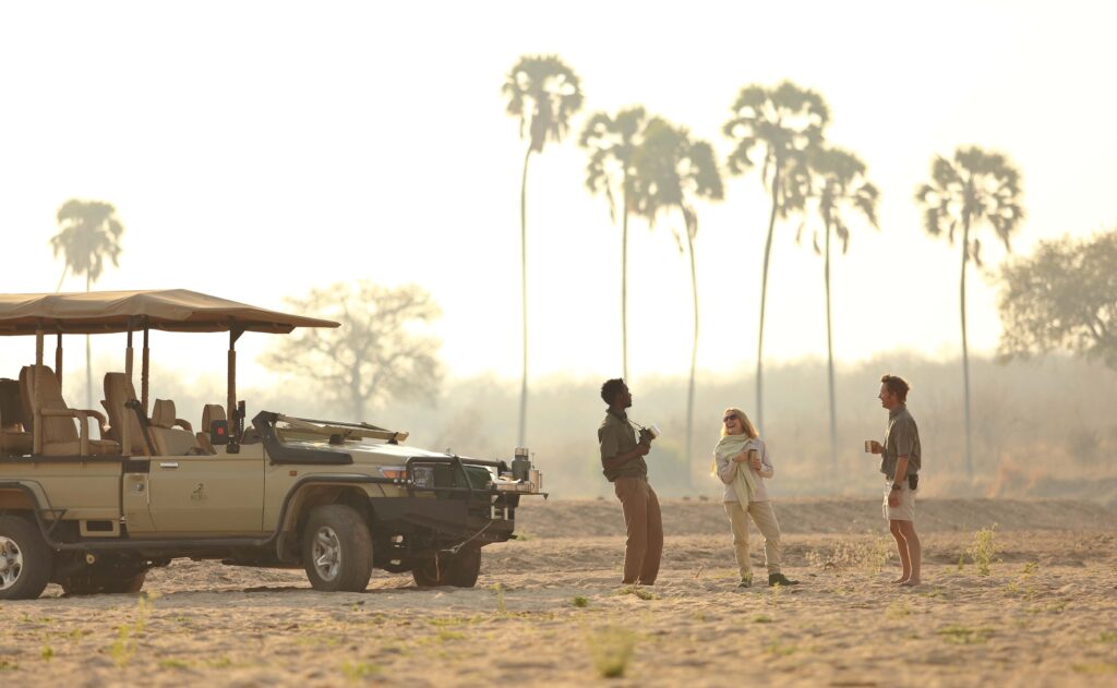 Jackal Fly-in Safari