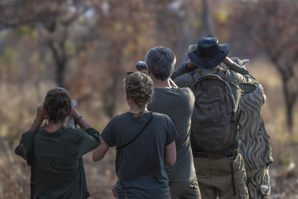 Walking in South Luangwa National Park